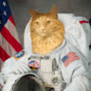 Meet your Posher, Philip